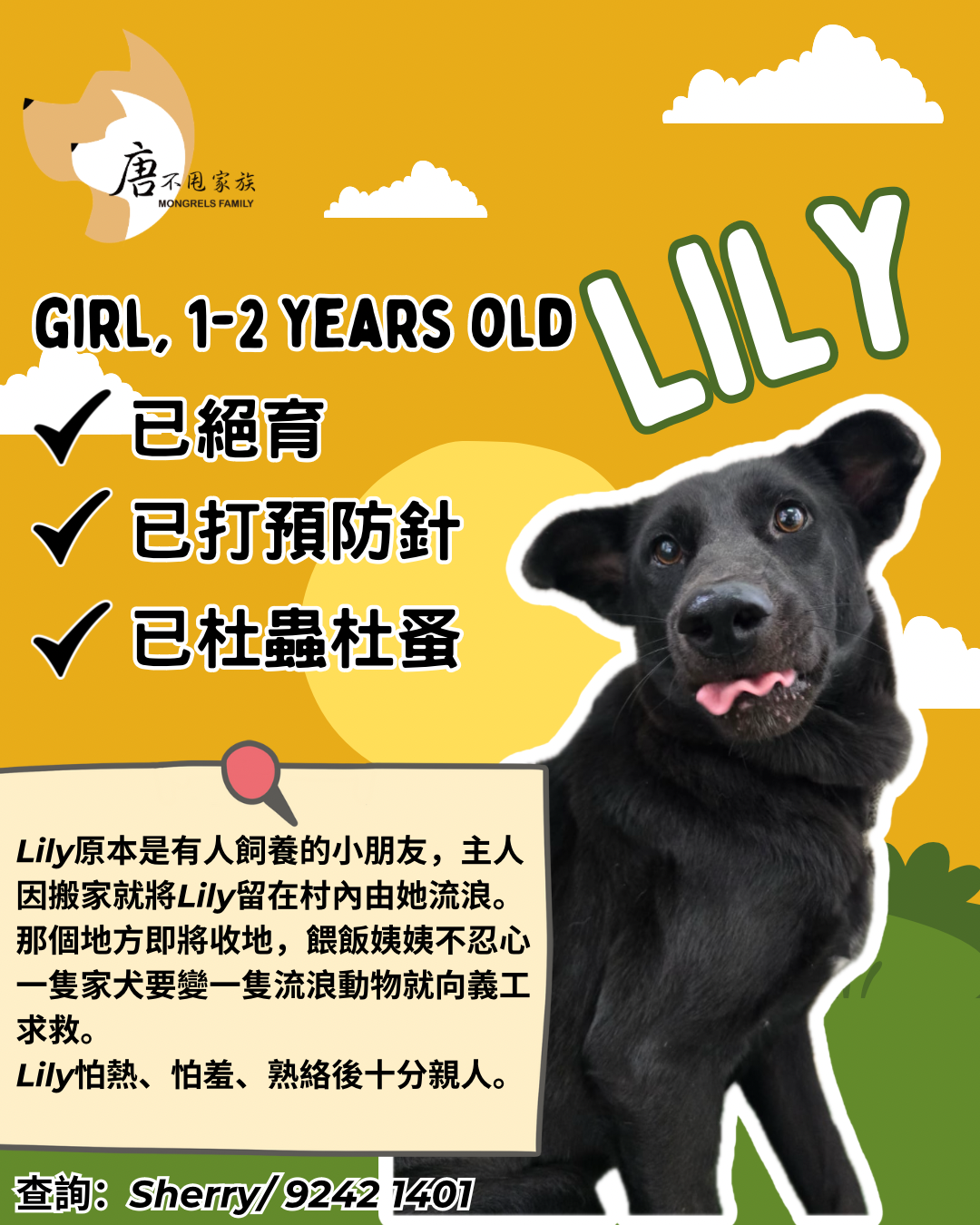 Lily